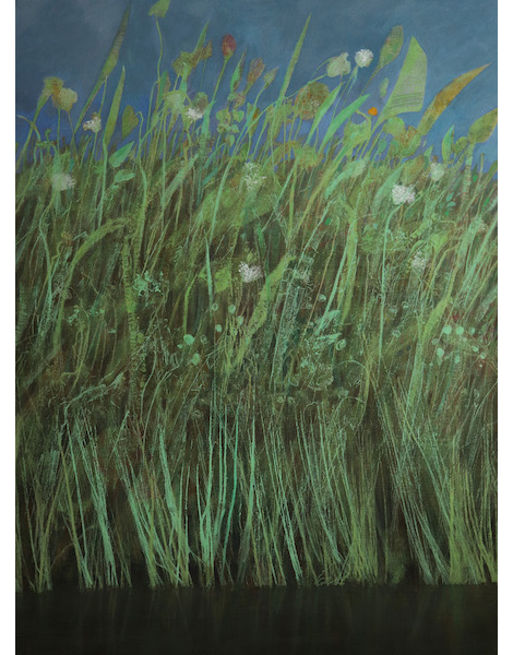 Herbes